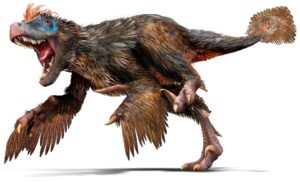 Did Dinosaurs Have Feathers?