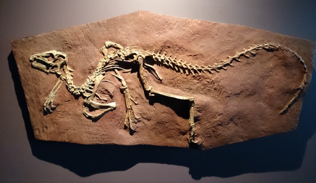 When Was the First Dinosaur Discovered?