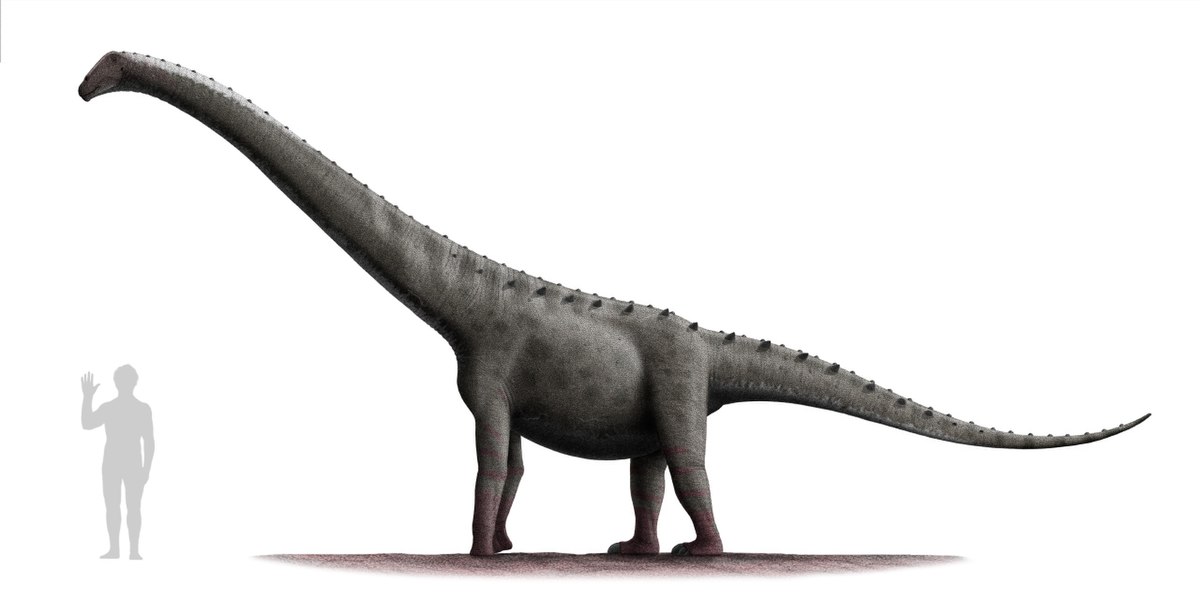 What Is the Biggest Dinosaur?