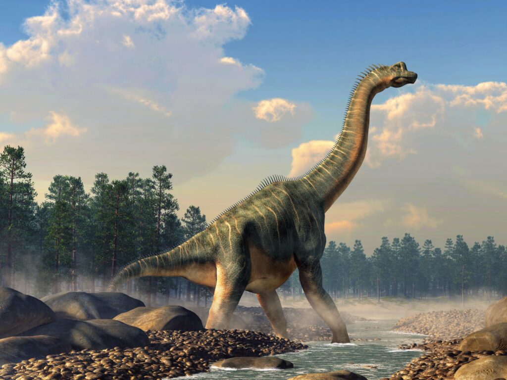 What Were the Largest Dinosaurs Ever to Walk the Earth?