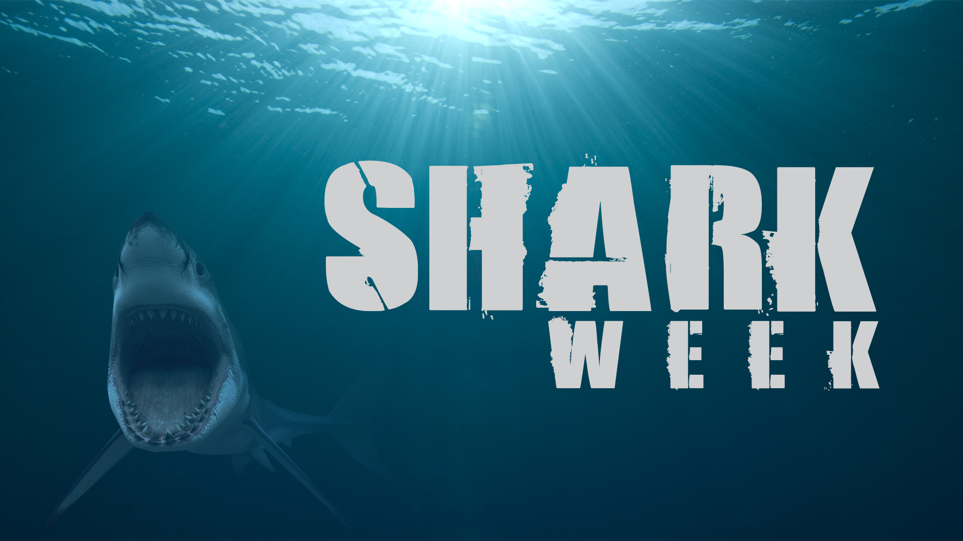 Shark Week 2024 UK Dates