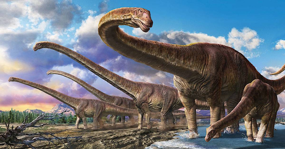 What Is the Biggest Dinosaur?