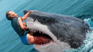 Are Sharks Really a Threat to Humans?