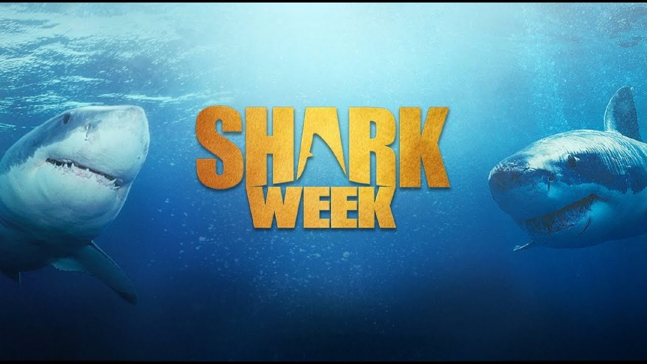 Shark Week 2024 Reviews