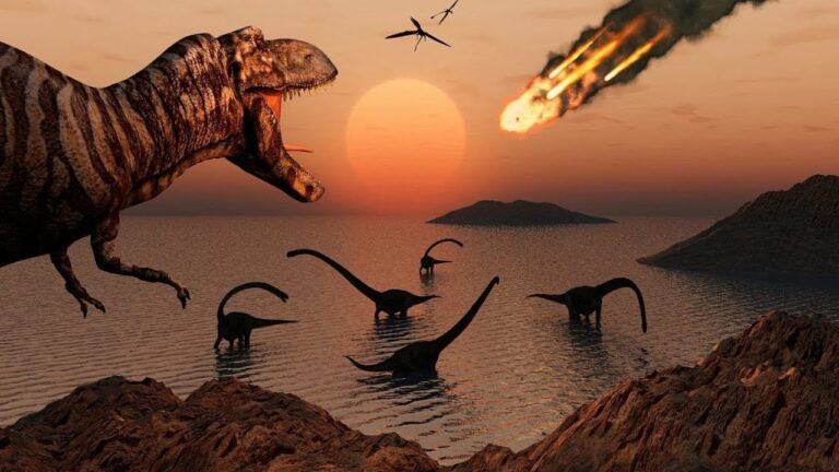 What Caused the Extinction of the Dinosaurs?