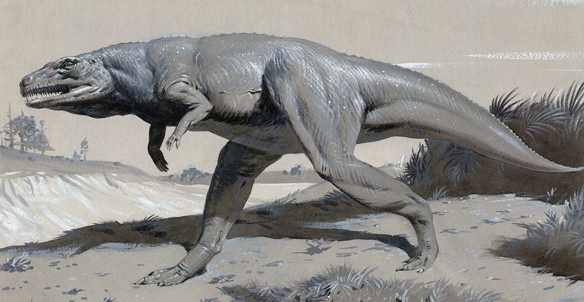 When Was the First Dinosaur Discovered?