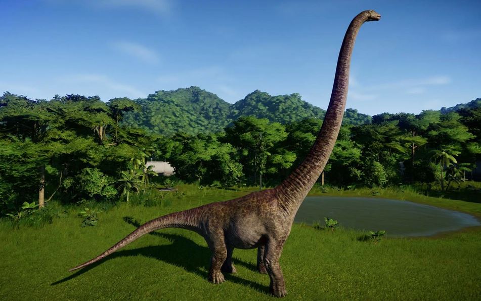 Long-Necked Dinosaurs: Giants of the Mesozoic Era