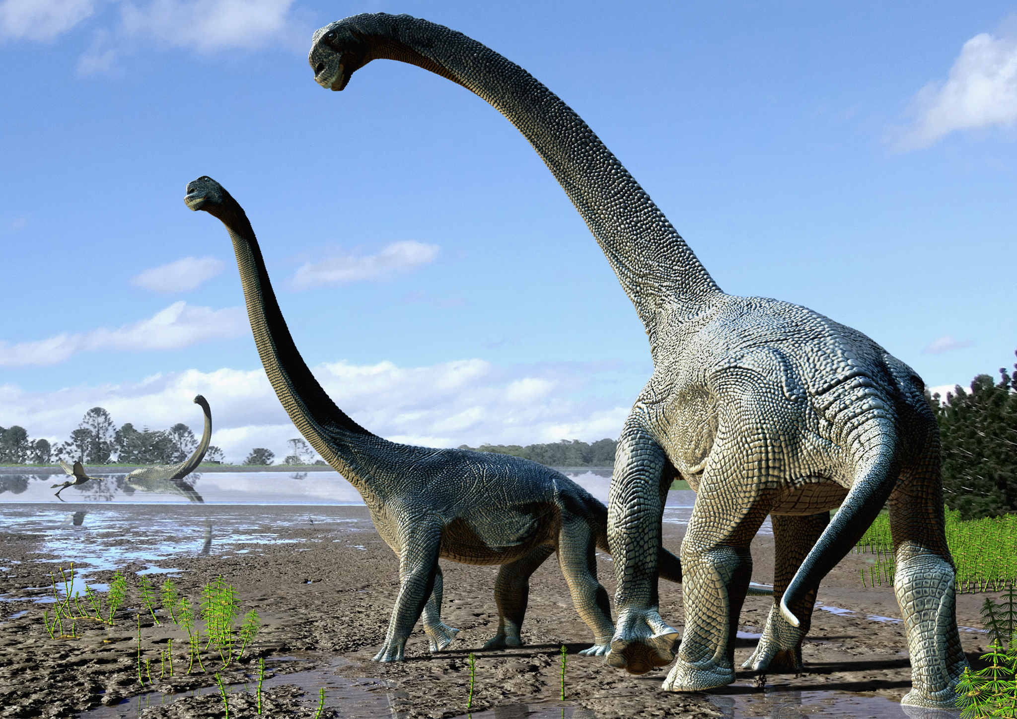 How Did Long-Necked Dinosaurs Protect Themselves?