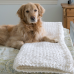 Knitted Blanket with Boxer Dogs