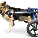 Dog Wheelchair for Back Legs