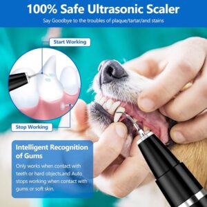 Best Ultrasonic Teeth Scaler for Dogs in Canada