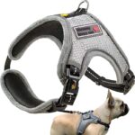 Best Harness for Small Dogs