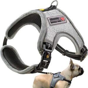 The Best Harness for Small Dogs: Comfort, Safety, and Style