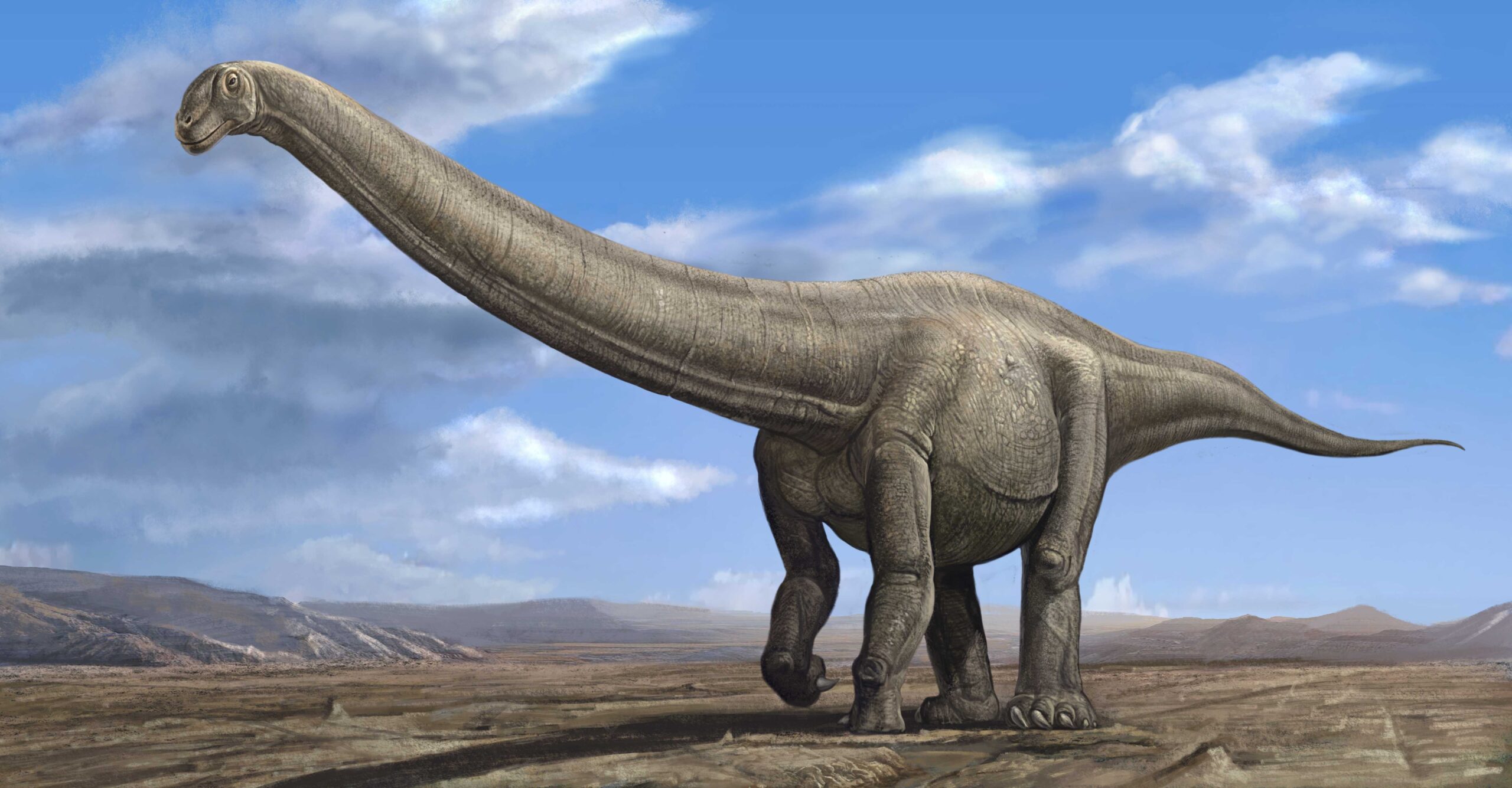 What Were the Habitats of Long-Necked Dinosaurs Like?