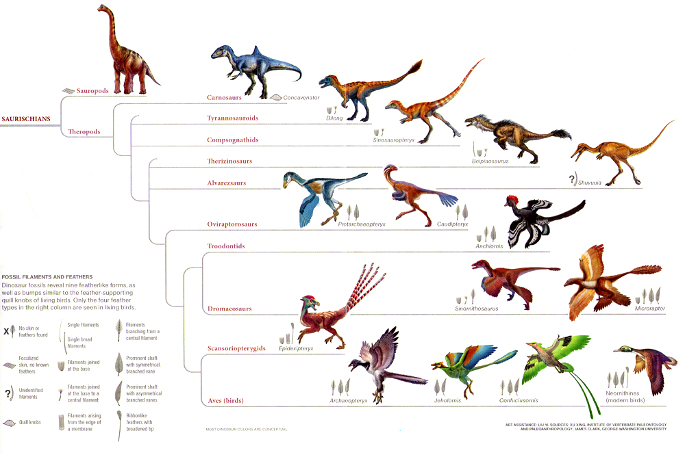 Are There Any Long-Necked Dinosaurs Still Alive Today?