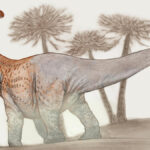 Why Did Long-Necked Dinosaurs Have Such Long Necks?