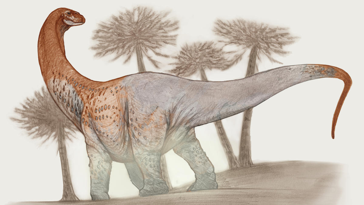 Why Did Long-Necked Dinosaurs Have Such Long Necks?