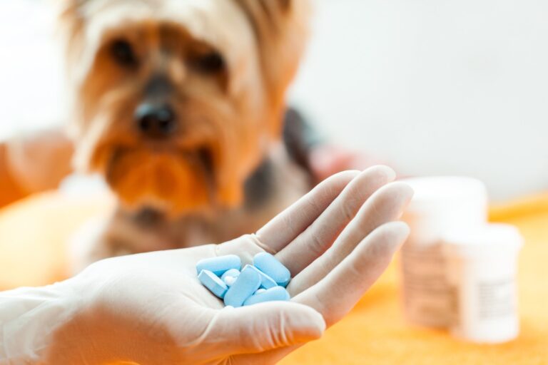 Gabapentin for Dogs: Dosage Chart (kg) and Essential Information