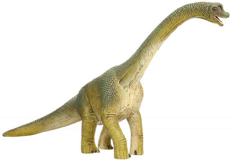 What Were the Habitats of Long-Necked Dinosaurs Like?