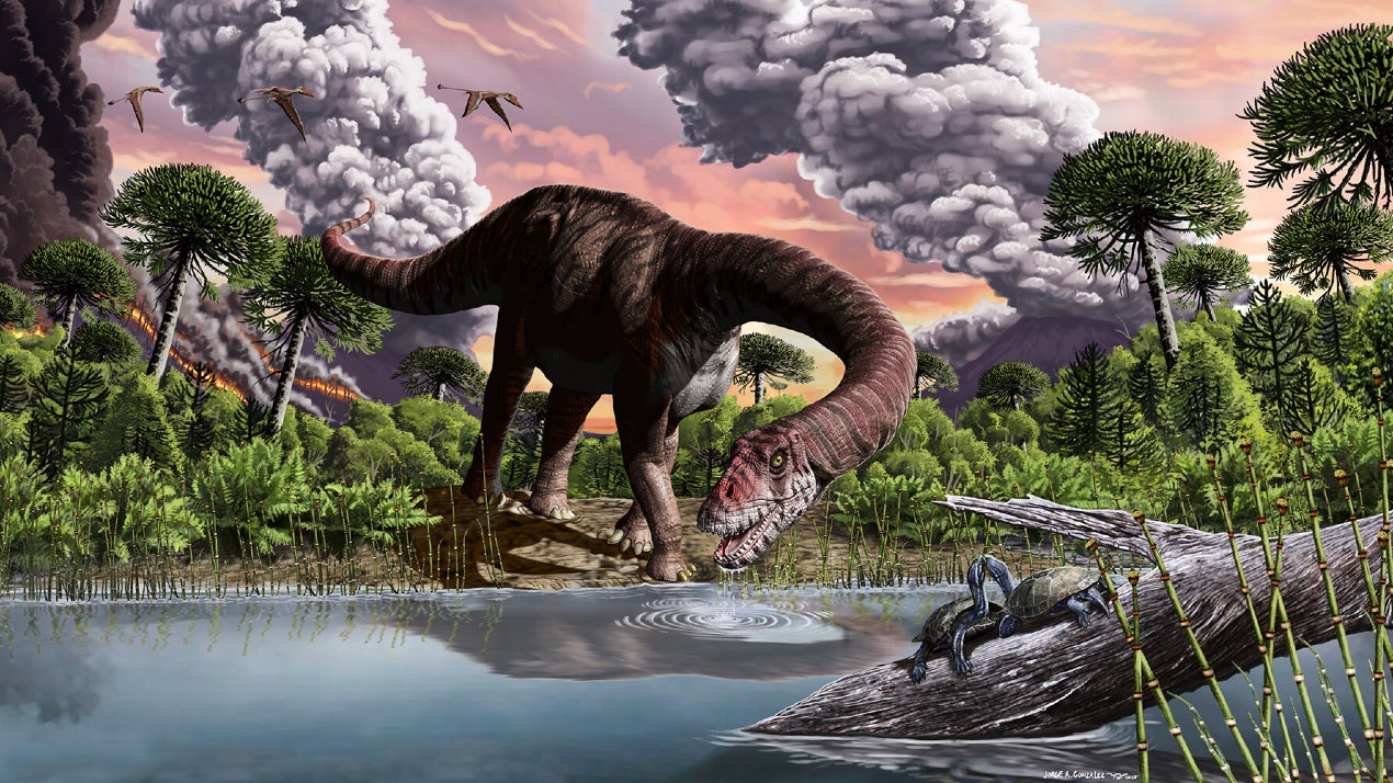 How Did Long-Necked Dinosaurs Protect Themselves?