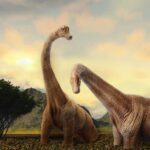 How Did Long-Necked Dinosaurs Eat with Their Long Necks?