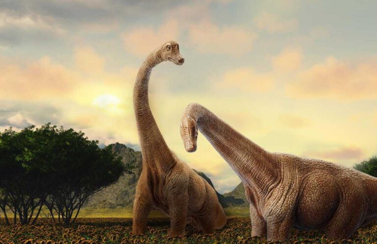 How Did Long-Necked Dinosaurs Eat with Their Long Necks?