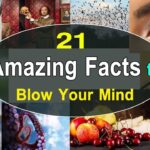 100 Amazing Facts That Will Blow Your Mind