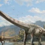 Did Long-Necked Dinosaurs Have Any Natural Predators?