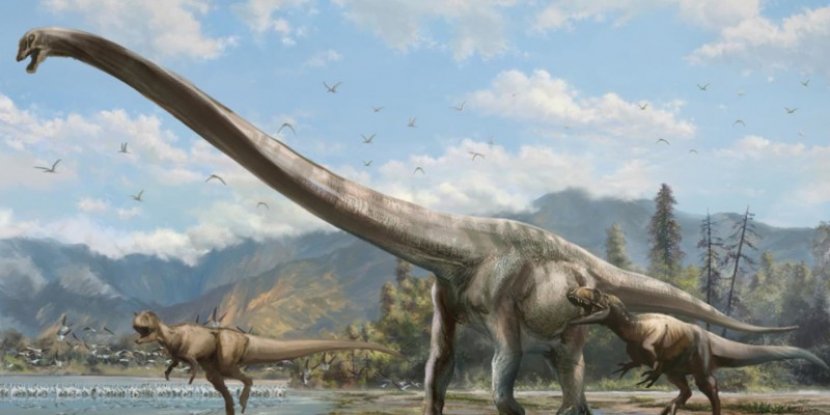 Did Long-Necked Dinosaurs Have Any Natural Predators?