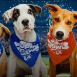 SweetPea Dog Puppy Bowl Review