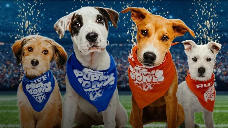 SweetPea Dog Puppy Bowl Review: The Perfect Solution for Your Little Paws