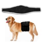 Belly Bands for Male Dogs