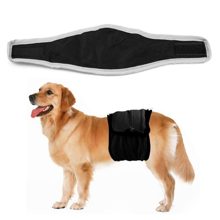 Belly Bands for Male Dogs: A Practical Guide for Pet Owners