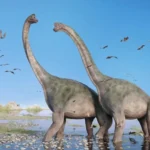 What Were the Habitats of Long-Necked Dinosaurs Like?