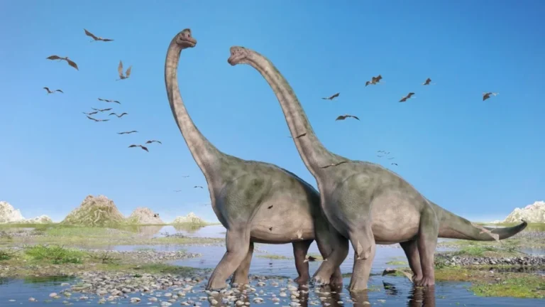 What Were the Habitats of Long-Necked Dinosaurs Like?