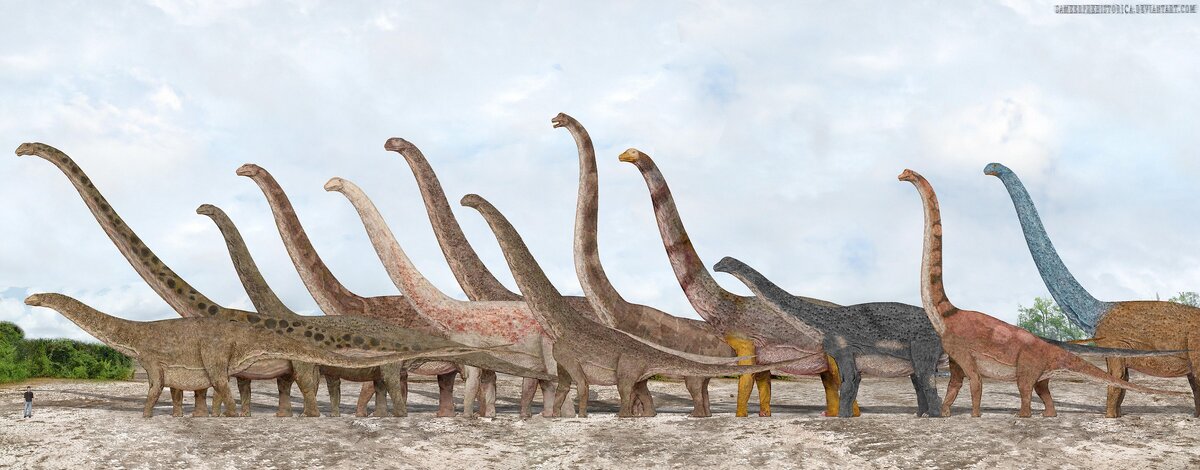 Why Did Long-Necked Dinosaurs Have Such Long Necks?