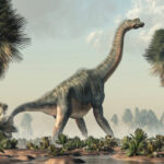 Long-Necked Dinosaurs: Giants of the Mesozoic Era