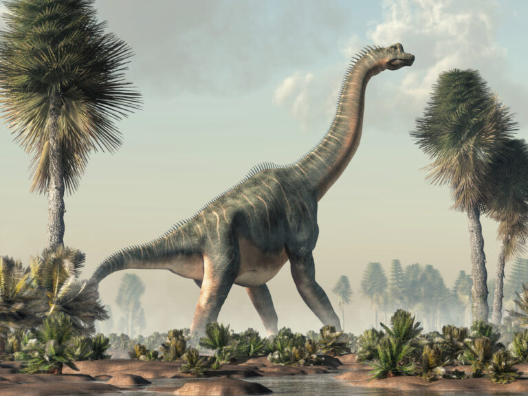 Long-Necked Dinosaurs: Giants of the Mesozoic Era