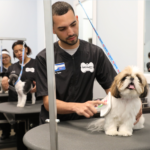 Dog Grooming Jobs Near Me