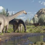 Which Long-Necked Dinosaur Was the Largest?