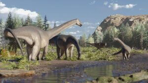 Which Long-Necked Dinosaur Was the Largest?